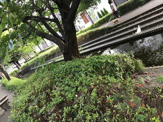 Mutsujimizube Park