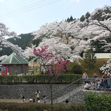 Tamba Ryunosato Park
