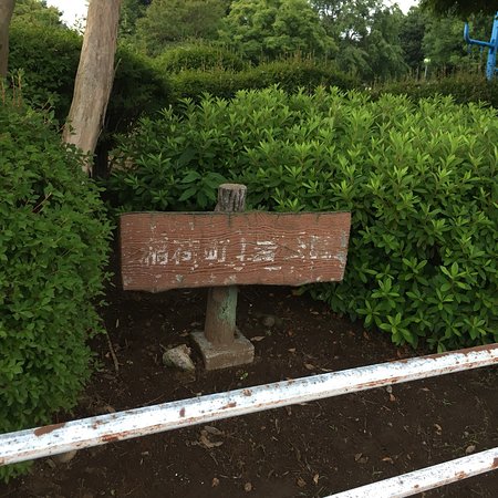 Inaricho Park 1