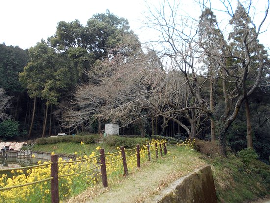 Oji Ikoi no Mori