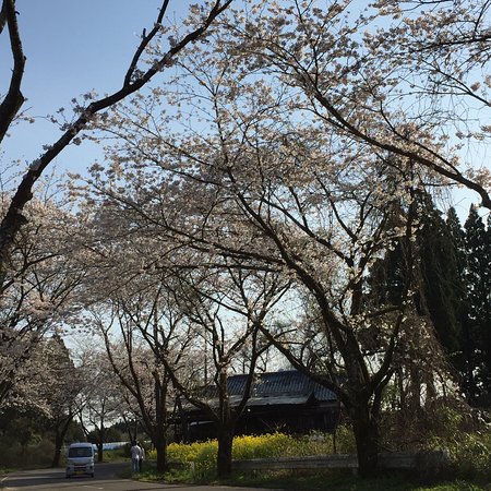 Tarumizu Park