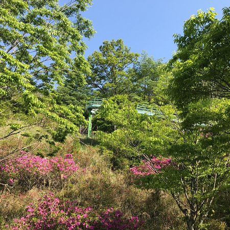 Naokawa Ikoi no Mori Park