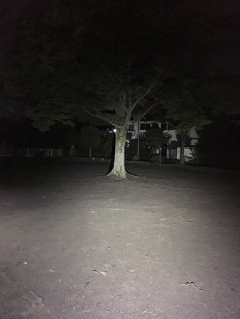 Outdoor Pictures 1