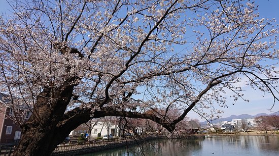 Mitsudera Park