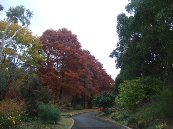Hattori Ryokuchi Toshi Ryokka Botanical Garden