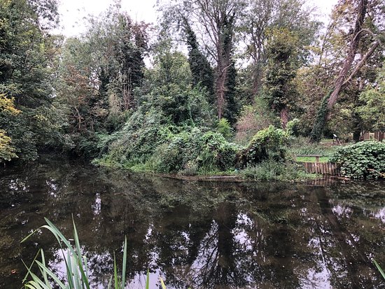 Cherry Hinton Hall Park