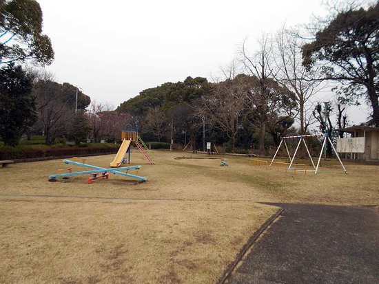 Outdoor Pictures 1
