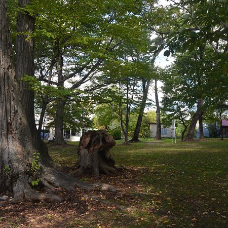 Torinuma Park