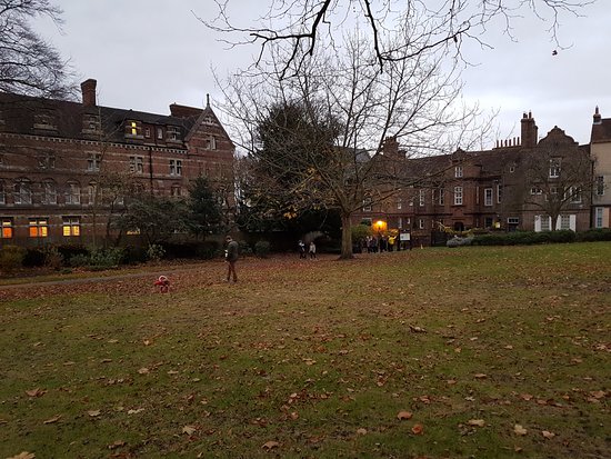 The Vines Park