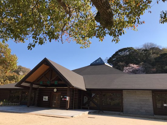 Yamada Park