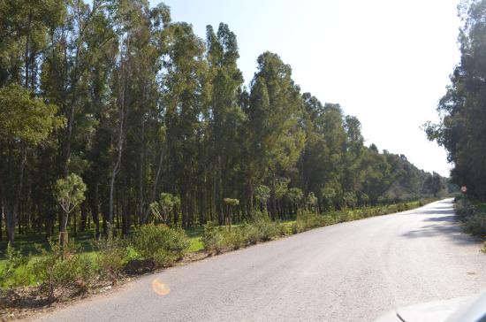 Sasali Picnic Area
