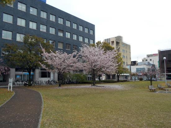 Ryogaecho Park