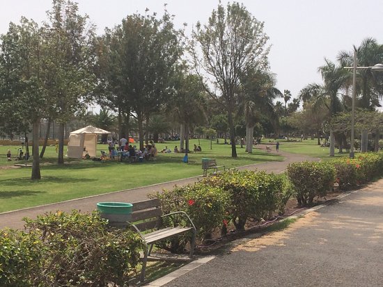 Parque Urbano del Sur