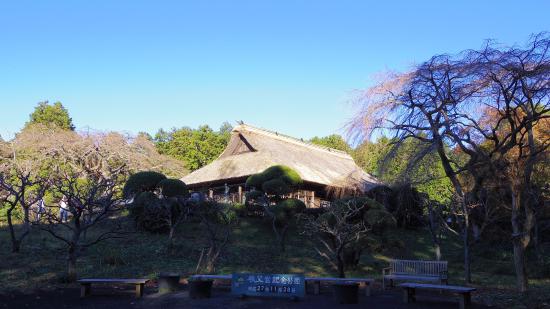 Chichibunomiya Memorial Park