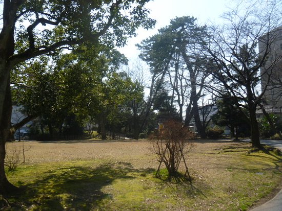 Mattojoshi Park