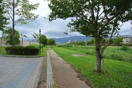 Outdoor Pictures 1