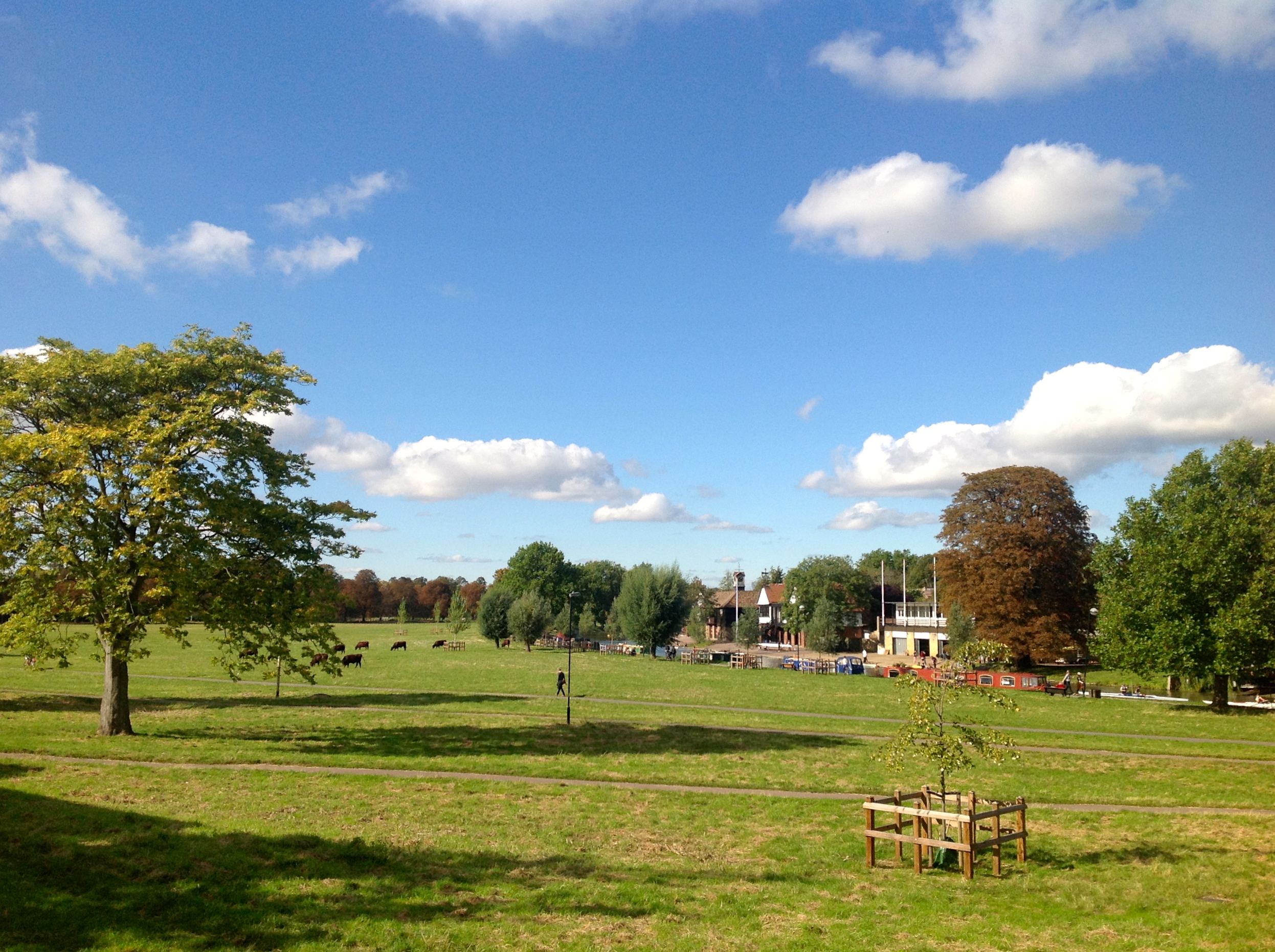 Midsummer Common