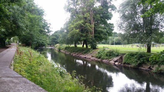 Newbridge Fields