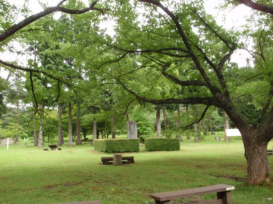 Outdoor Pictures 1