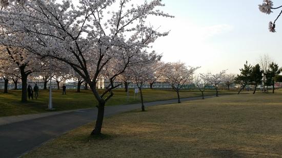 Outdoor Pictures 1