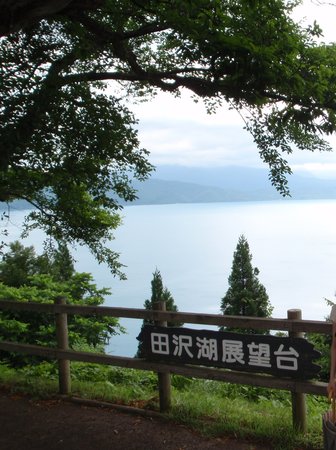 Katamaeyama Forest Park