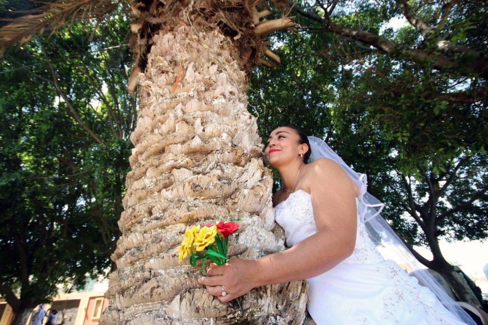 Marriage Tree