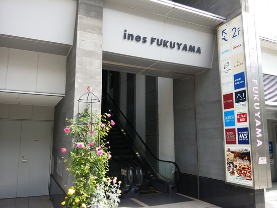 Ines Fukuyama
