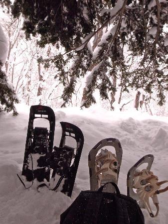 Niseko Custom Tours