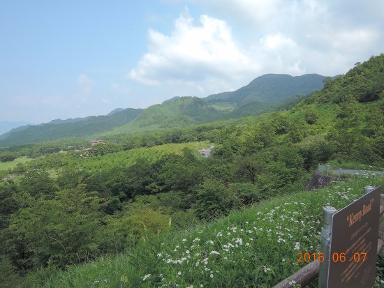 Outdoor Pictures 1