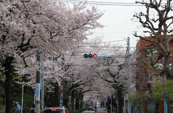 Nishi Yoga Street