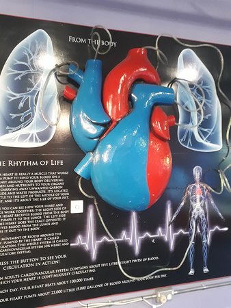 Science Alive