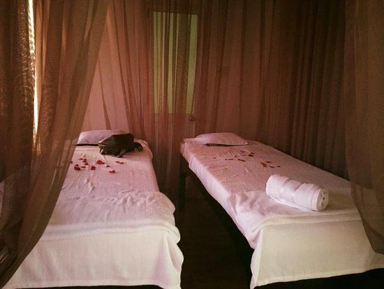 Elana Shampoo & Spa