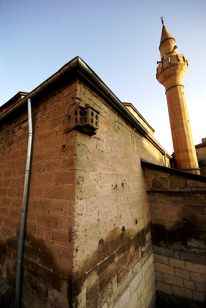 Sir Ali Cami