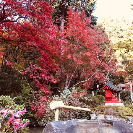 Daikokuji Temple