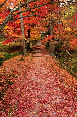 Ryuonji Temple