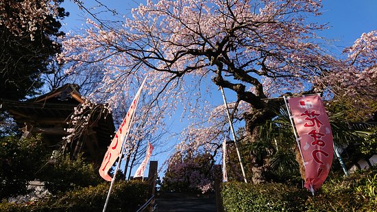 Korin-ji Temple