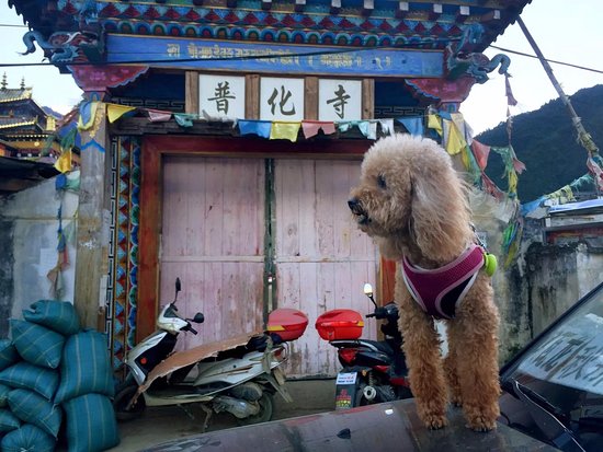 Puhua Temple