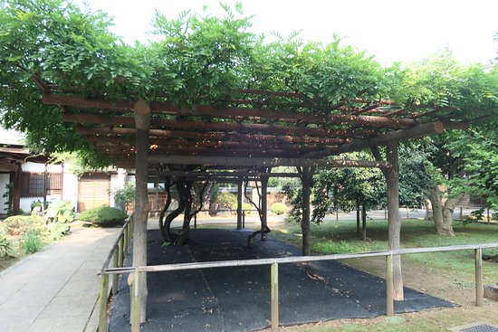 Outdoor Pictures 1