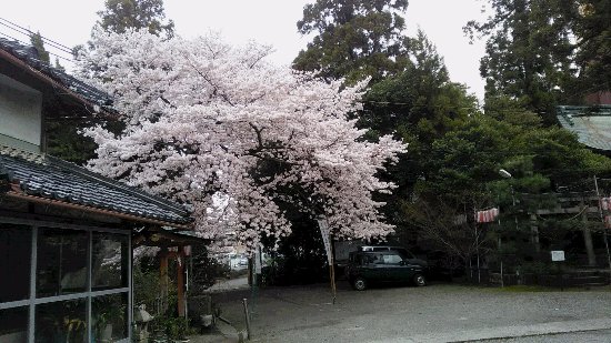 Outdoor Pictures 1