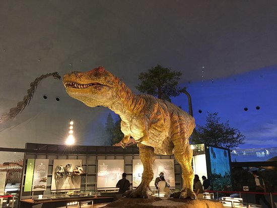 Hakusan Dinosaurs Park Shiramine