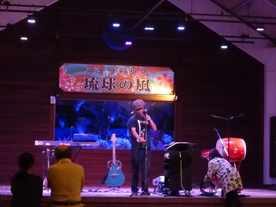 Ryukyu no Kaze Live Stage