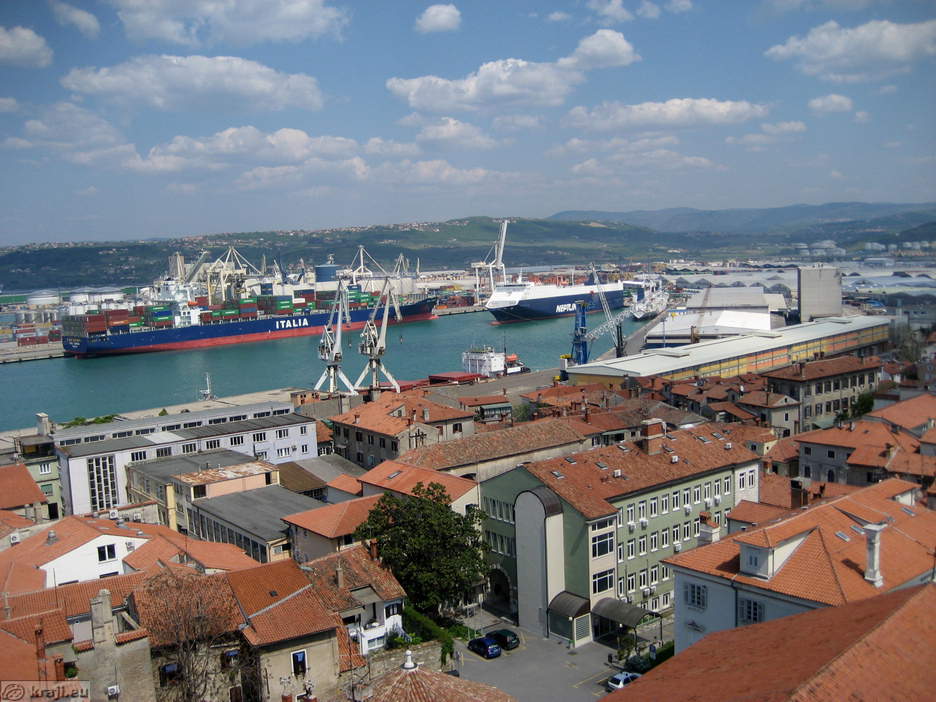 Vivarij BioExo Koper