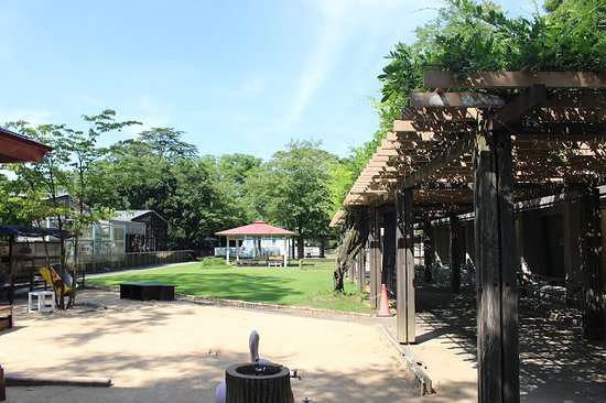 Outdoor Pictures 1