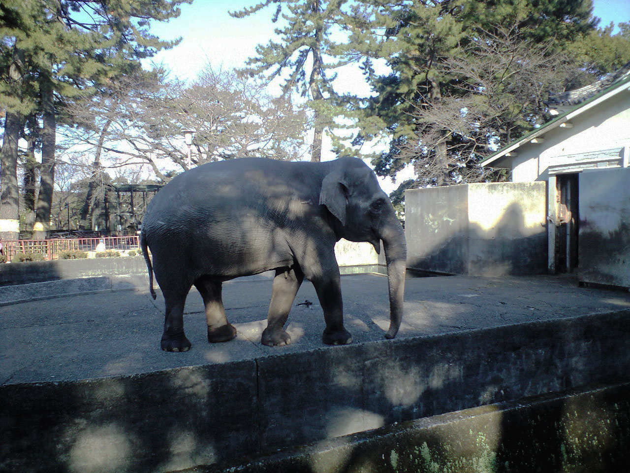 Odawara Zoo
