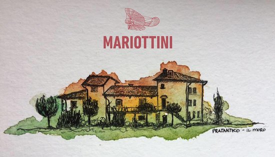 Cantina MARIOTTINI Vino & Olio