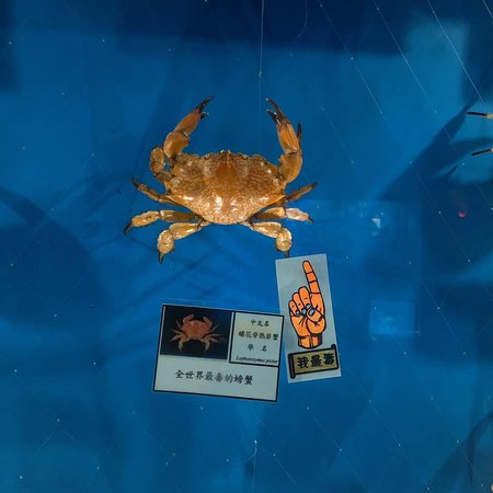 Beiguan Crab Museum