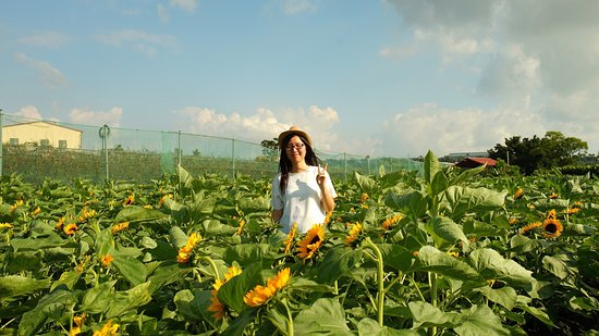 Taichung Bao Che Lv You