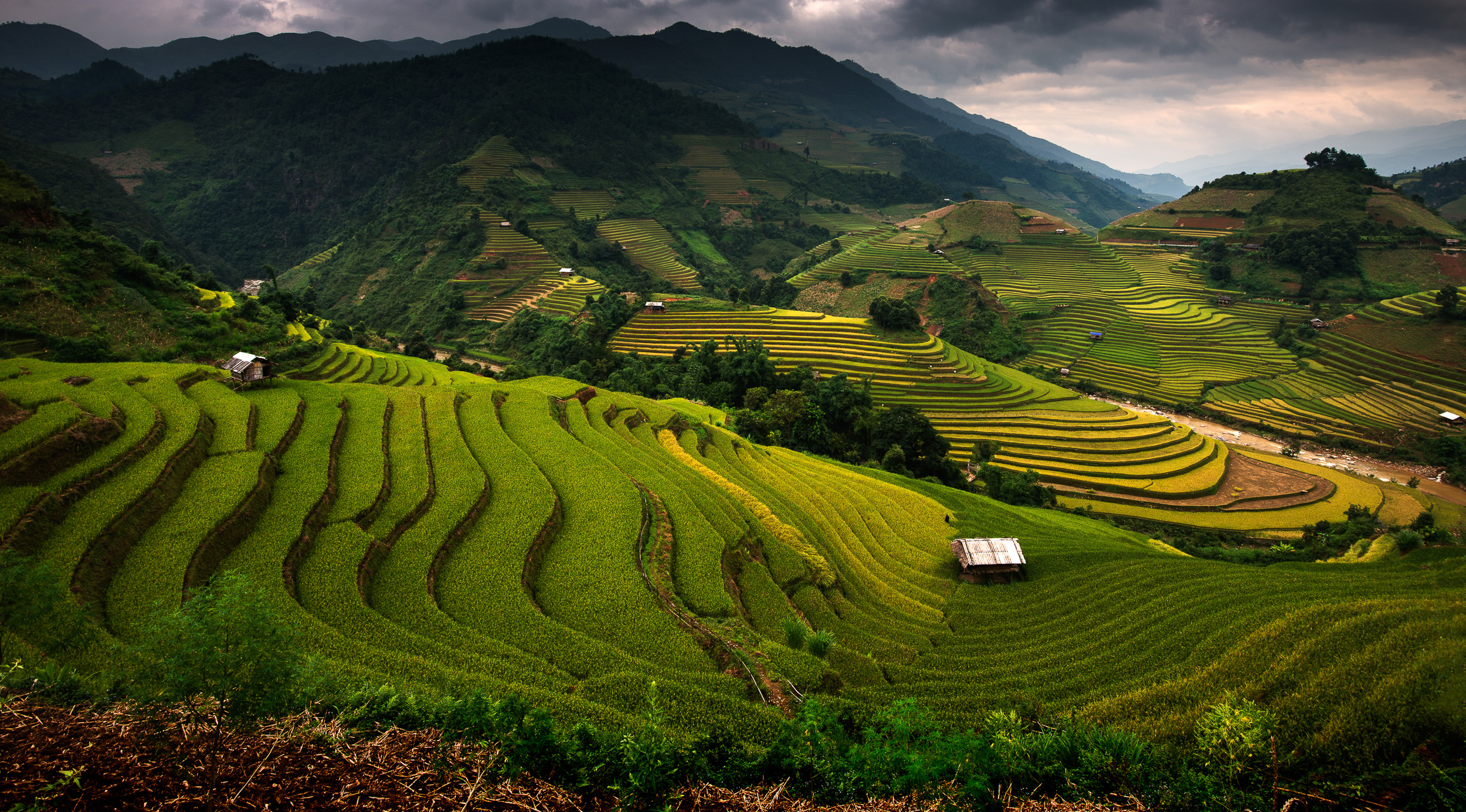 Sapa Luxury Van