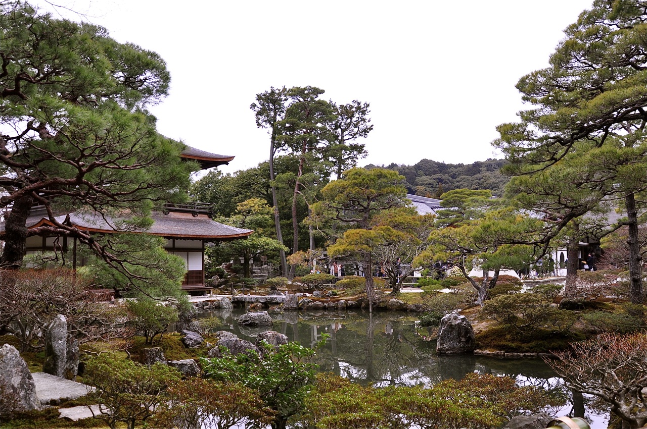Kyoto Terrsa