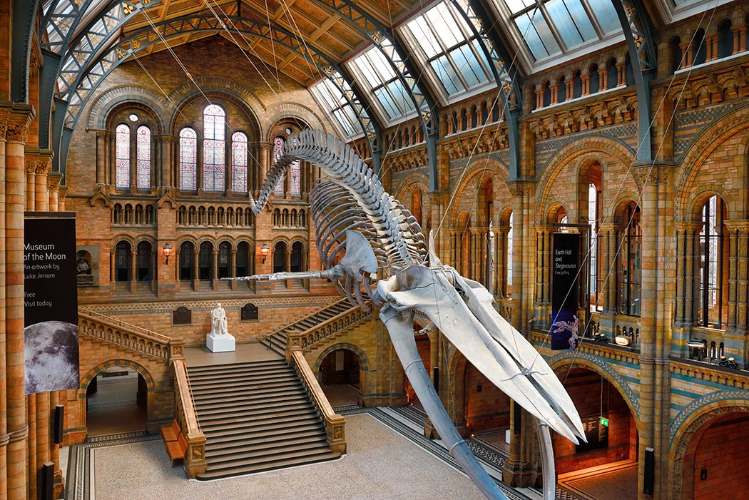 Woo Seok Heon Natural History Museum
